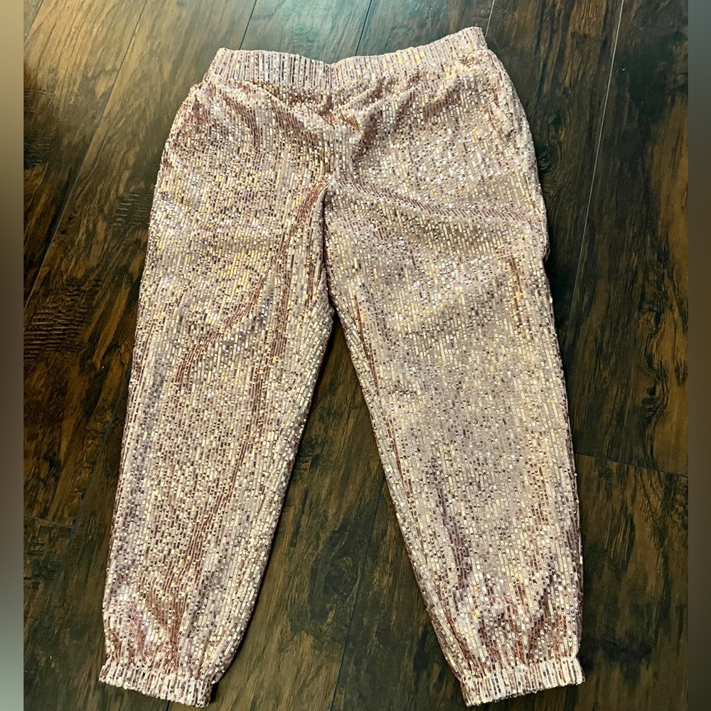 Loft sequin joggers with pockets size large